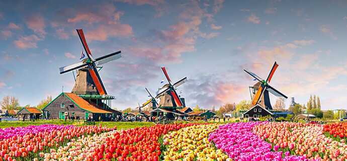 Holland: günstig reisen zum Tiefpreis