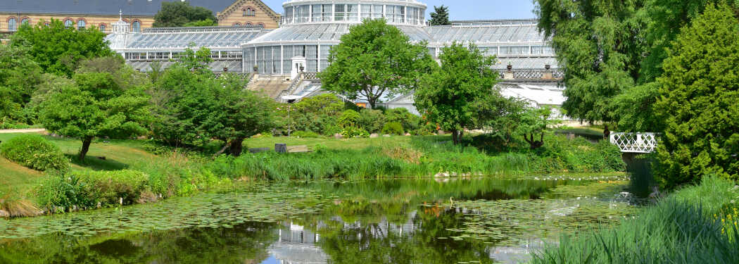 Botanischer Garten, Kopenhagen