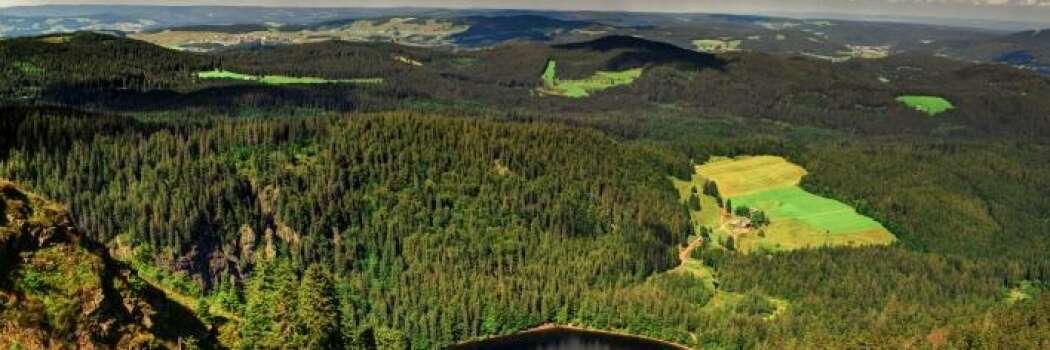 Afbudsrejser i Schwarzwald